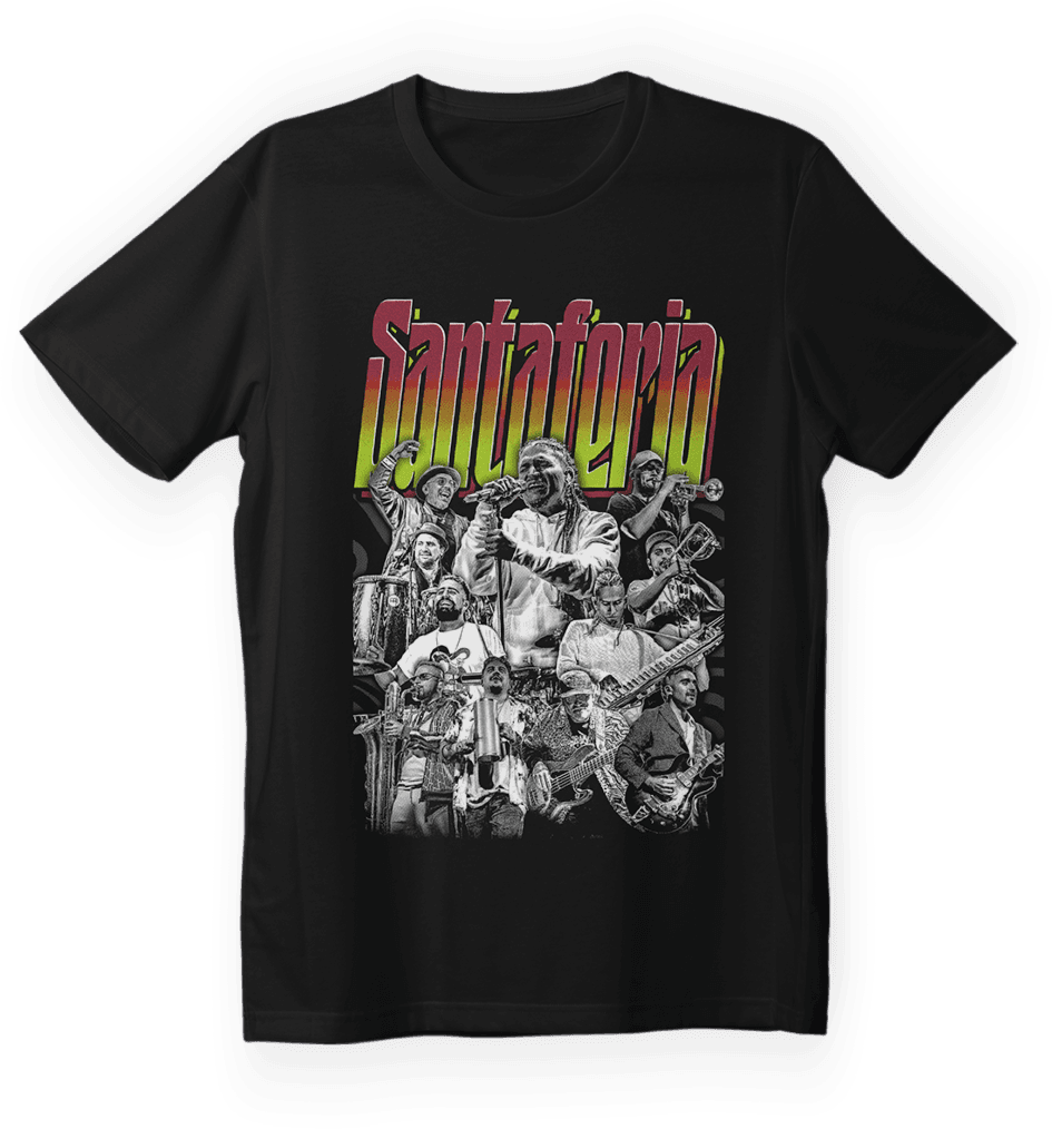 Polera Santaferia
