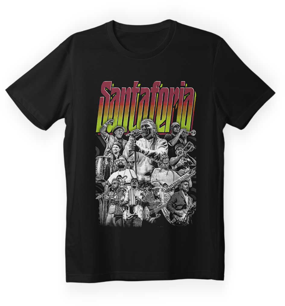 Polera Santaferia
