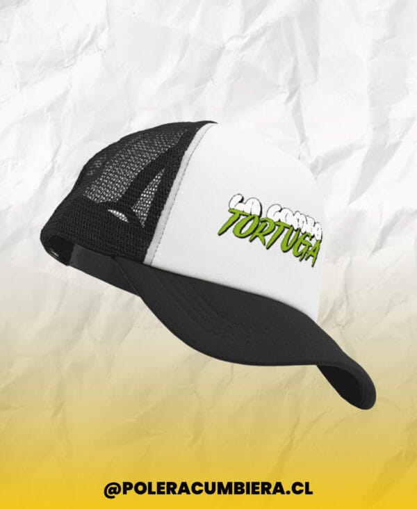 Gorro La Combo Tortuga
