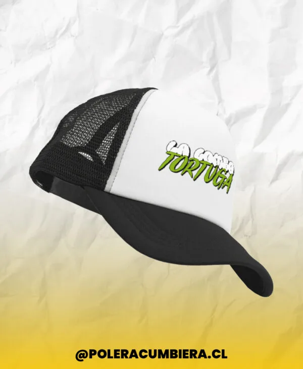 Gorro La Combo Tortuga